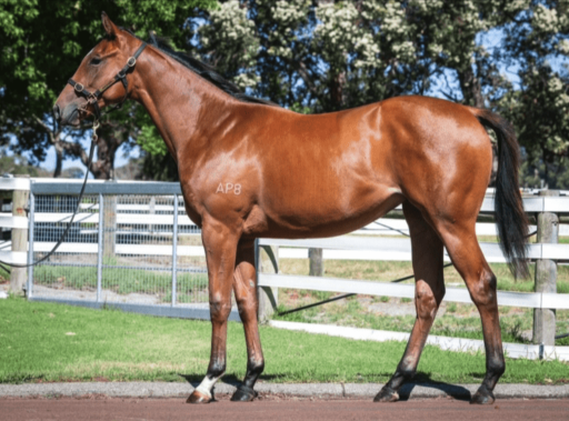 Latest Weekly Listings – State of Rest, Sooboog and Justify